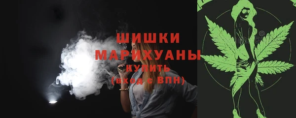 прущие грибы Арсеньев