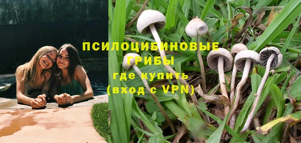 прущие грибы Арсеньев