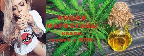 прущие грибы Арсеньев