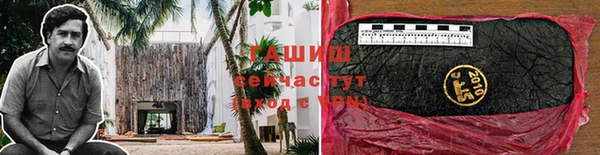 прущие грибы Арсеньев
