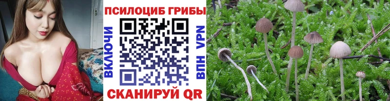Галлюциногенные грибы прущие грибы  Саров 